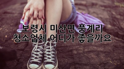 보령시 미산면 풍계리 청소업체, 어디가 좋을까요?