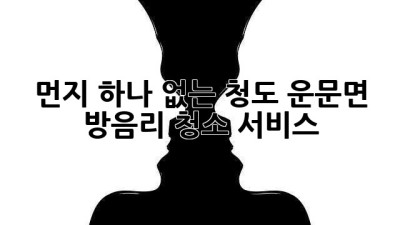 먼지 하나 없는 청도 운문면 방음리 청소 서비스